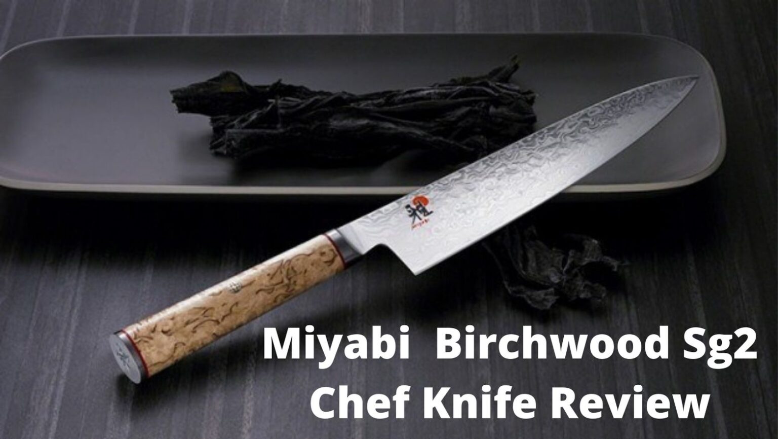 Miyabi Birchwood Sg2 Review 8 inch Chef Knife