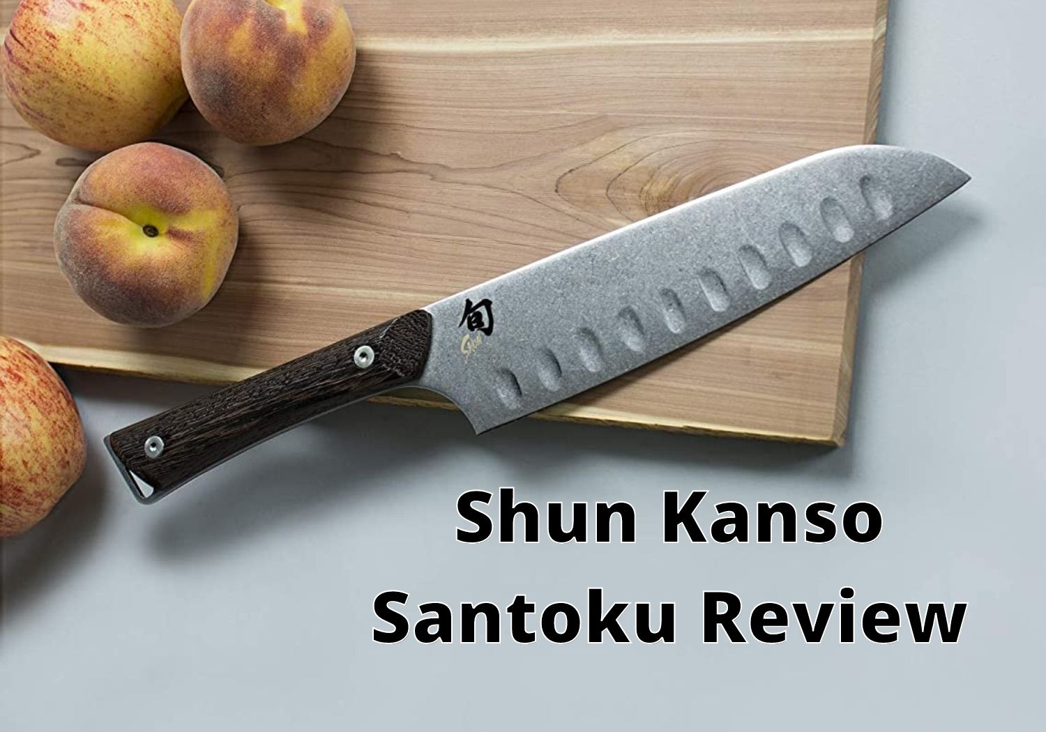 Shun Kanso Santoku Review