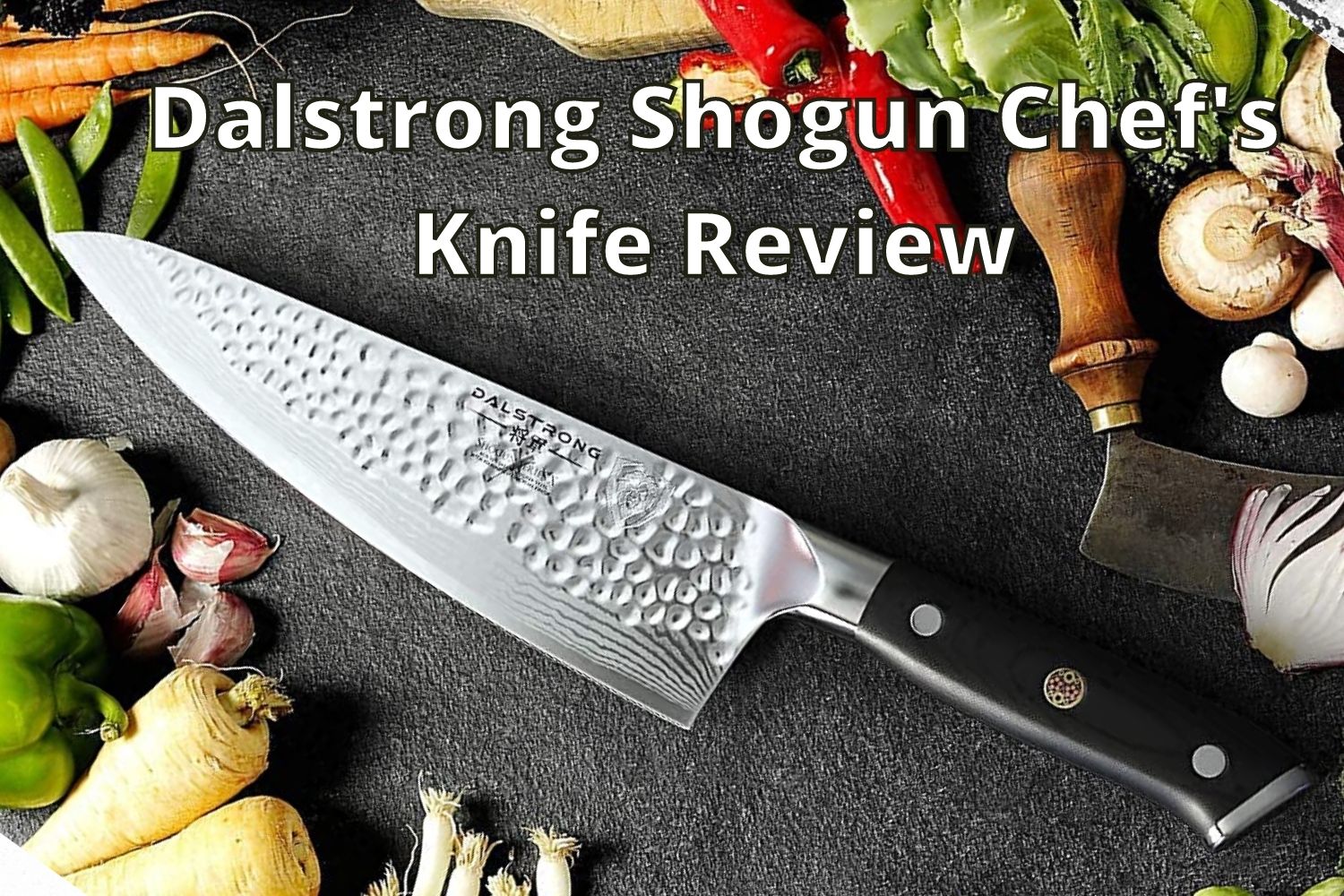 dalstrong shogun review