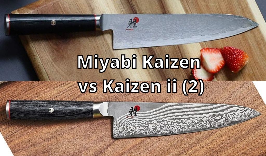 Miyabi Kaizen vs Kaizen ii (2)