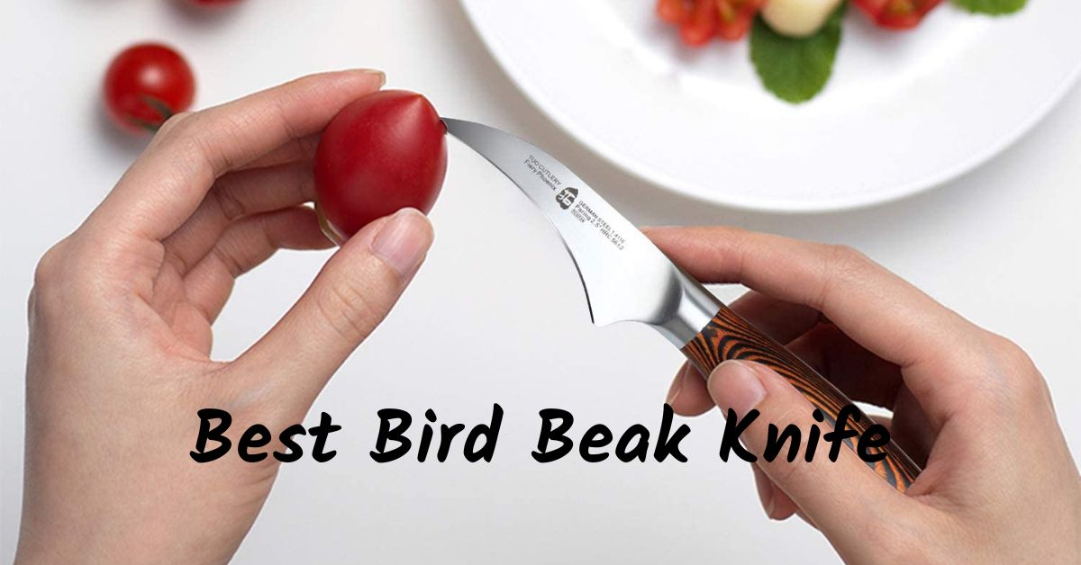 Best Bird Beak Knife