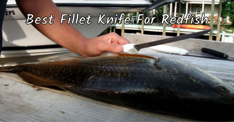 Top 6 Best Fillet Knife For Redfish (Electric and Manual)