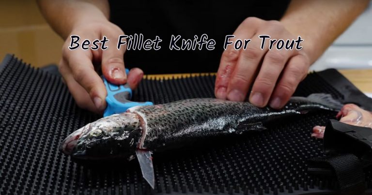 Top 3 Best Fillet Knife For Trout (Speckled Trout)