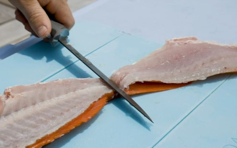 best folding fish filleting knife