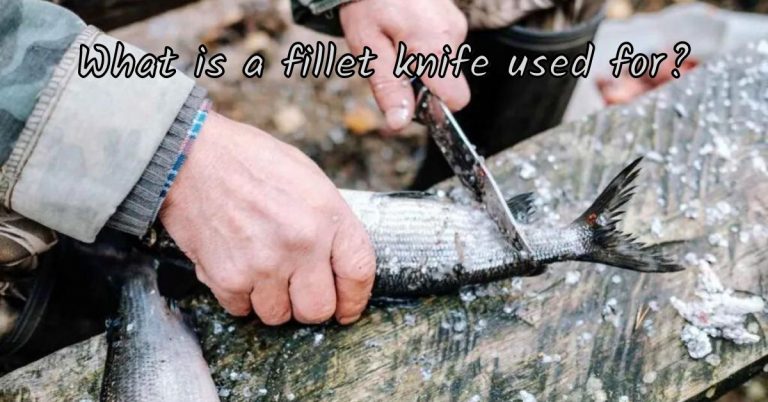 What is a fillet knife used for? – Full Guide