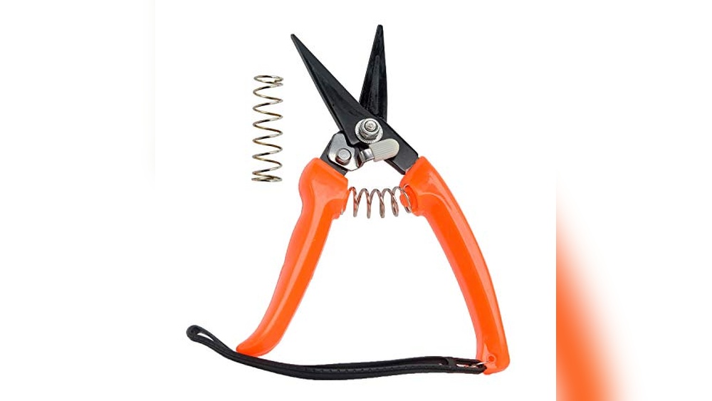 Best Hoof Knife